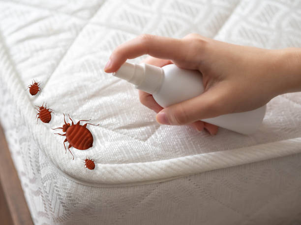 Best Emergency Pest Control  in California, PA